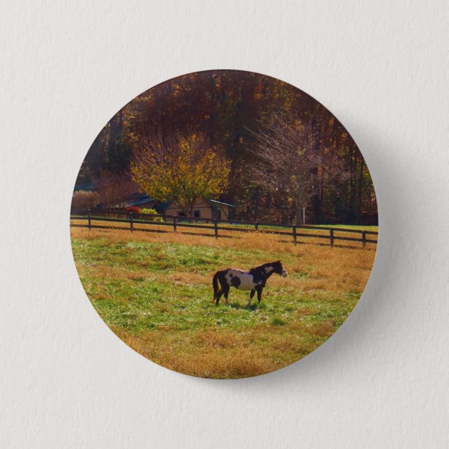 Painted Horse in the Distance Pinback Button (Front)