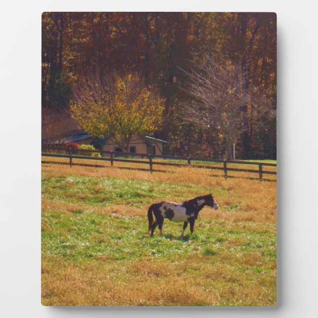 Painted Horse in the Distance Plaque (Front)