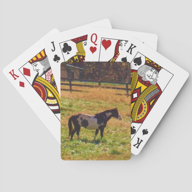Painted Horse in the Distance Poker Cards (Back)