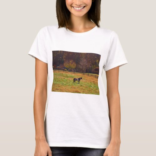 Painted Horse in the Distance T_Shirt