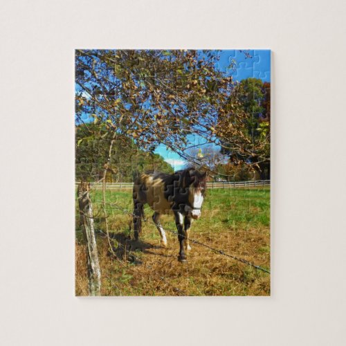 Painted Horse Jigsaw Puzzle