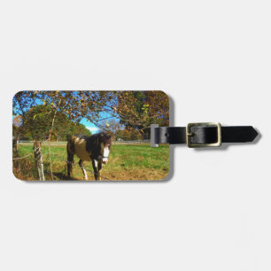 Painted Horse, Luggage Tag