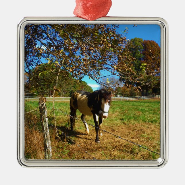 Painted Horse, Metal Ornament (Front)