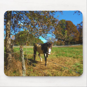 Painted Horse, Mouse Pad