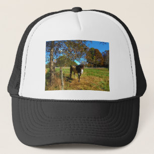 Painted Horse, Trucker Hat