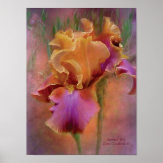 Painted Iris Art Poster/Print Poster