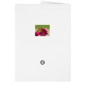 Painted Lady Butterfly (Back)