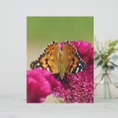Painted Lady Butterfly (Standing Front)