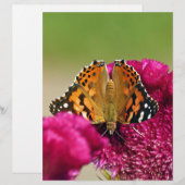Painted Lady Butterfly (Front/Back)