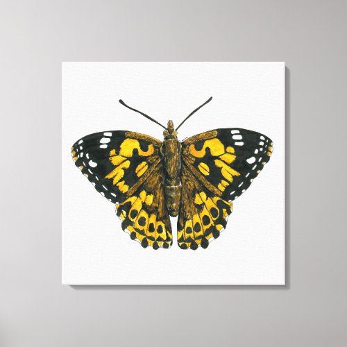 Painted lady butterfly canvas print