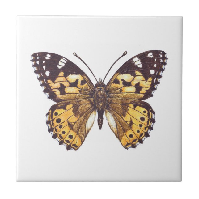 Painted lady butterfly ceramic tile (Front)