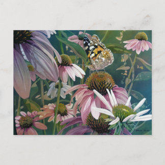 Painted Lady Butterfly Coneflowers Watercolor Art Postcard