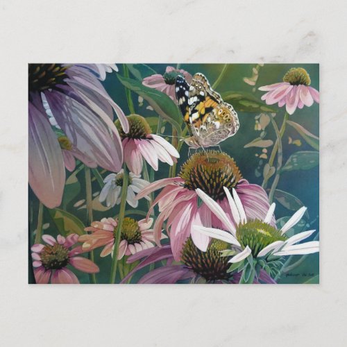 Painted Lady Butterfly Coneflowers Watercolor Art Postcard