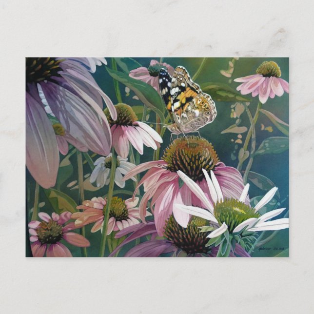 Painted Lady Butterfly Coneflowers Watercolor Art Postcard (Front)