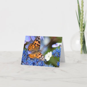Painted Lady Butterfly Greeting Card