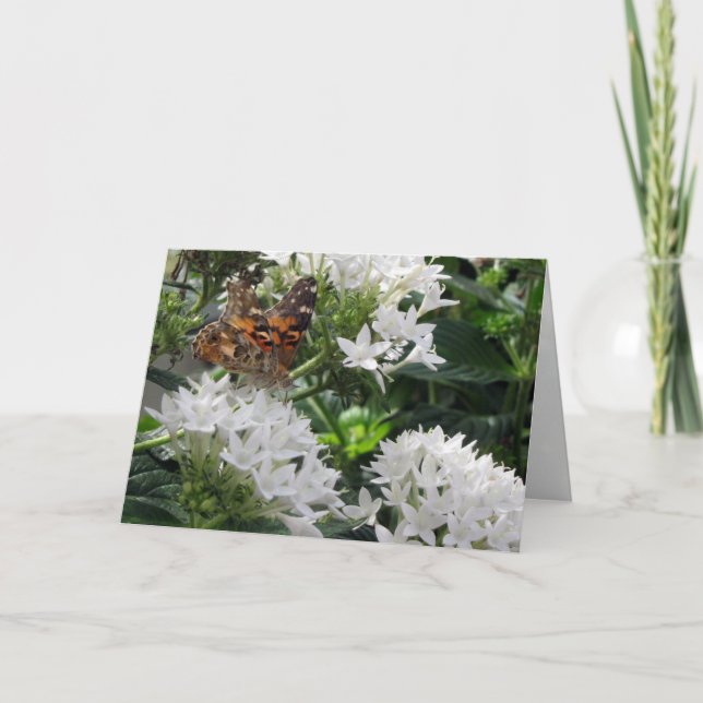 Painted Lady Butterfly Greeting Card (Front)