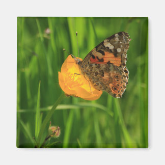 Painted Lady Butterfly Magnet