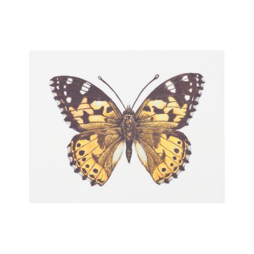 Painted lady butterfly metal print