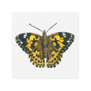 Painted lady butterfly metal print