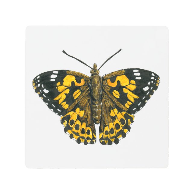 Painted lady butterfly metal print (Front)