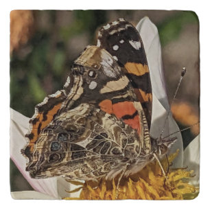 Painted Lady Butterfly Nature Photo Trivet