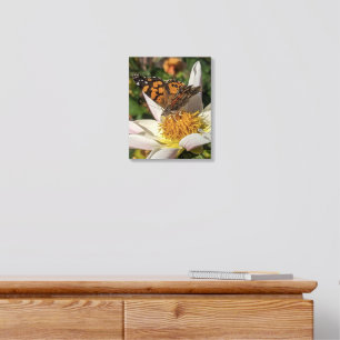 Painted Lady Butterfly on White Dahlia Acrylic Photo Tile