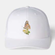 Painted Lady Butterfly on White Flowers