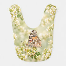 Painted Lady Butterfly on White Flowers