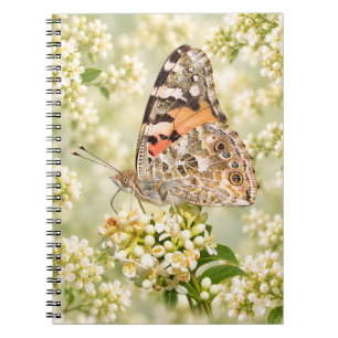 Painted Lady Butterfly on White Flowers Notebook
