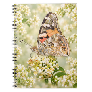 Painted Lady Butterfly on White Flowers Notebook