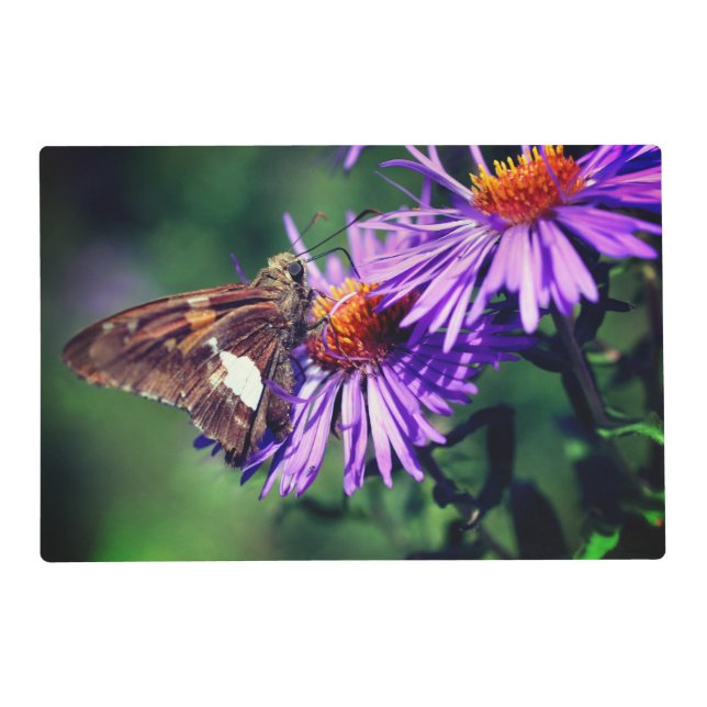 Painted Lady Butterfly On Wild Aster Flower   Placemat (Front)