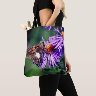 Painted Lady Butterfly On Wild Aster Flower  