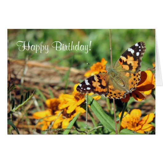 Painted Lady Butterfly on Zinnia Birthday Card (Front Horizontal)