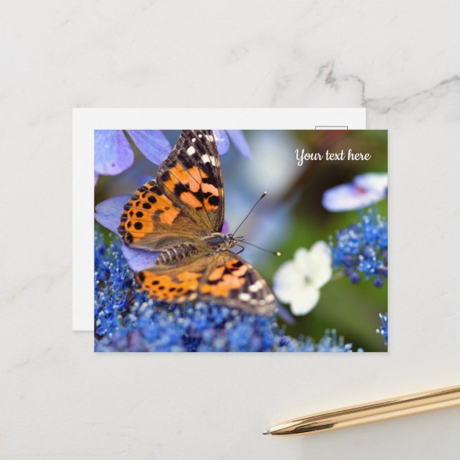 Painted Lady Butterfly Postcard (Front/Back In Situ)