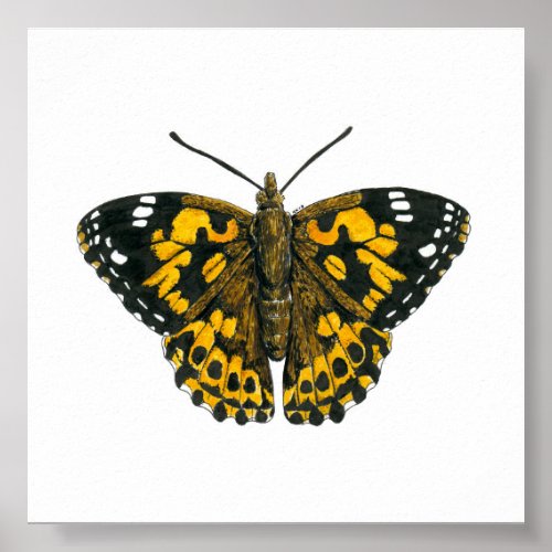 Painted lady butterfly poster