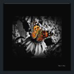 Painted Lady Butterfly SC Art Print<br><div class="desc">This beautiful work of photographic art will definitely be a conversation piece for guests or clients to your home or office. A beautiful vision of Gods' Paintbrush at work as captured by award winning floral photographer Stan V. Griep - Colorado, USA. A truly wonderful Selective Color work of art this...</div>