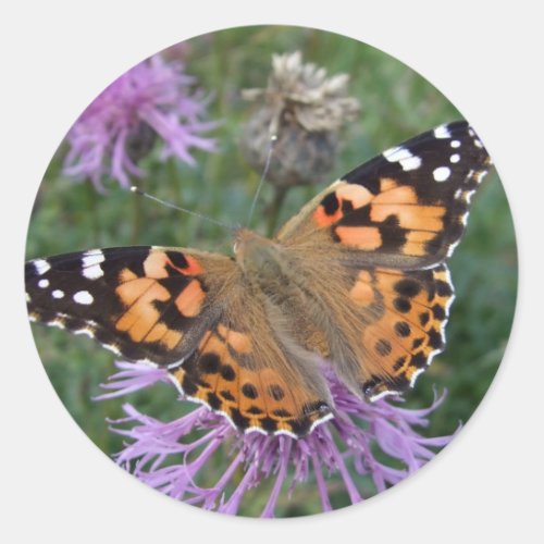 Painted Lady Butterfly Stickers