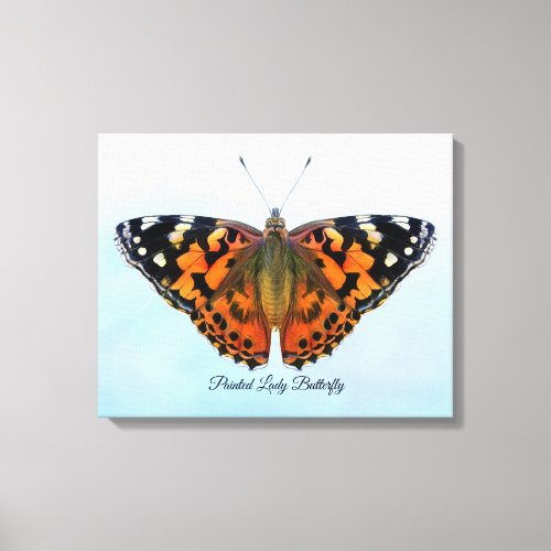 Painted Lady Butterfly Watercolor Painting Canvas Print