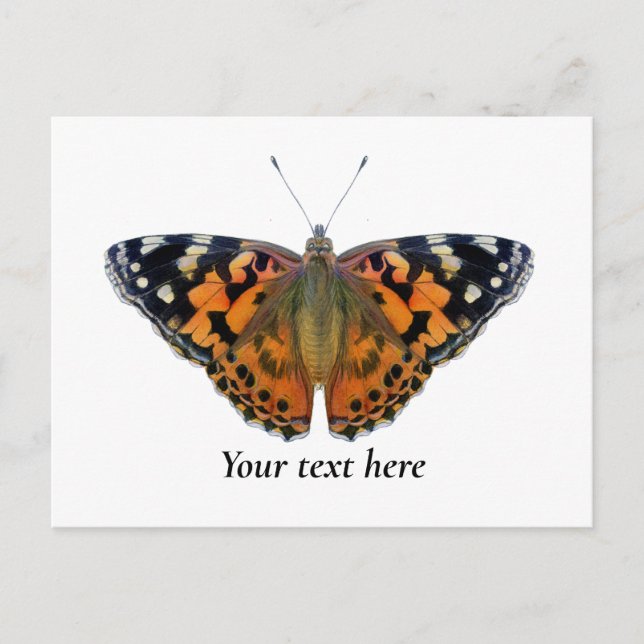 Painted Lady Butterfly Watercolor Painting Postcard (Front)
