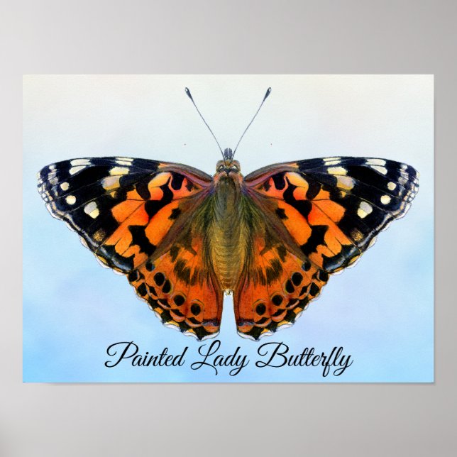 Painted Lady Butterfly Watercolor Painting Poster (Front)