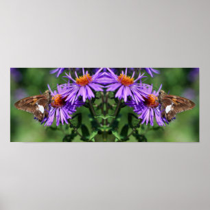 Painted Lady Butterfly Wildflower Mirror Abstract Poster