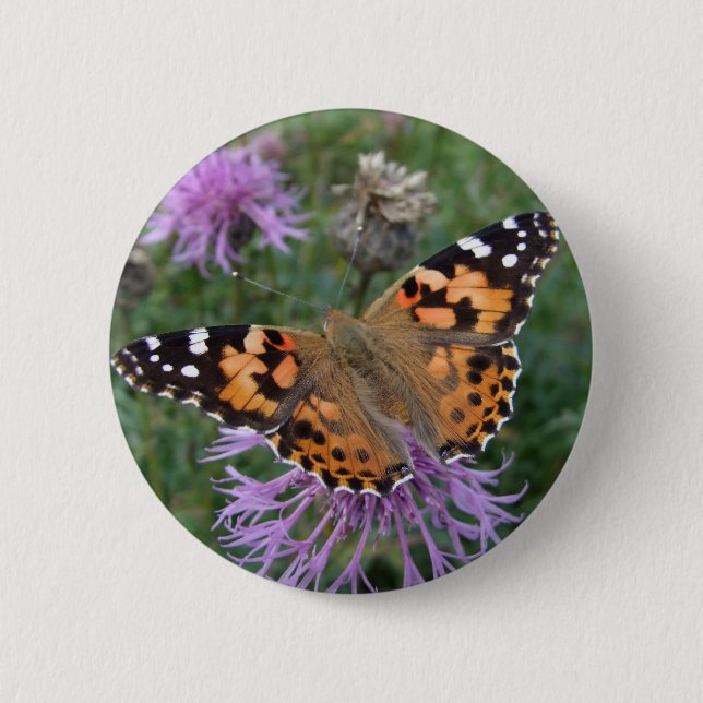 Painted Lady Button (Front)
