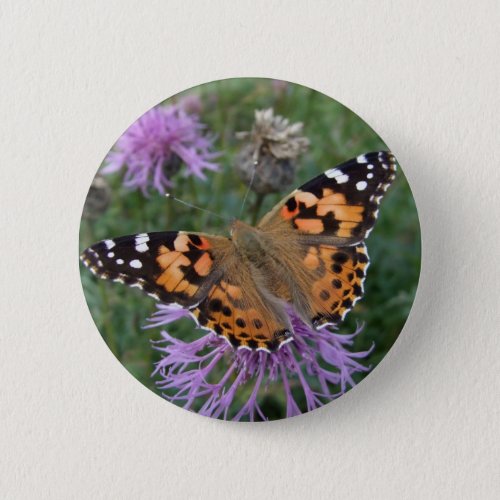 Painted Lady Button