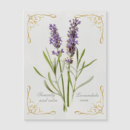 Painted Lavandula Vera Serenity and Calm