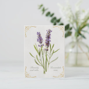 Painted Lavandula Vera Serenity and Calm