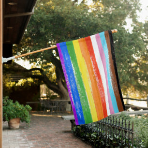 Painted LGBTQ+ Progress Flag Stripes