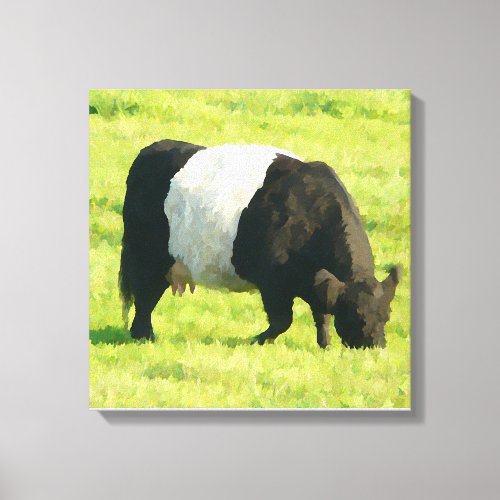 Painted Look Belted Galloway Cow in Field Canvas Print