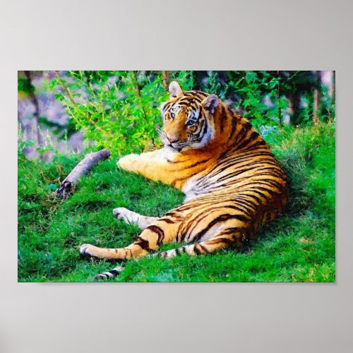 Painted Lounging Tiger in the Grass Wildlife Poster