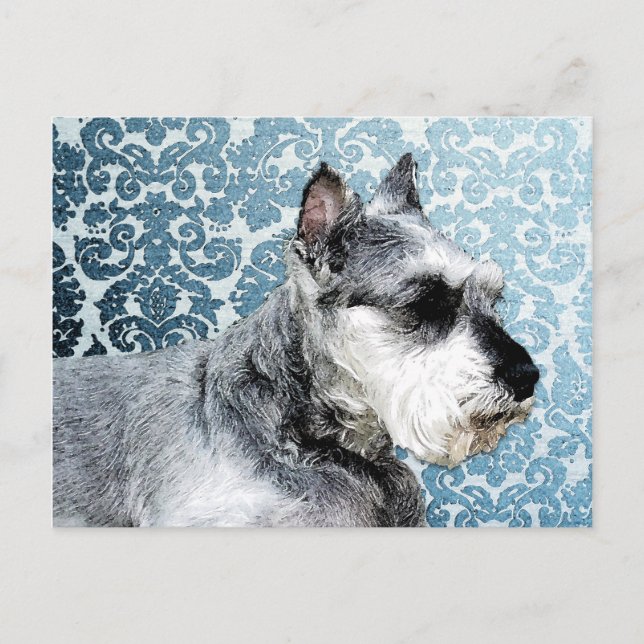 Painted Miniature Schnauzer Postcard (Front)