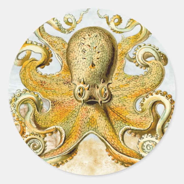 Painted Nautical Octopus Kraken Squid Classic Round Sticker (Front)
